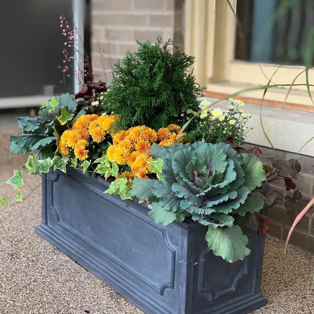 Autumn planter arrangement
