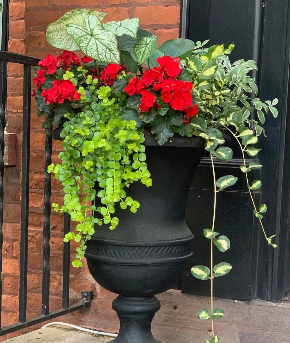 Spring planter arrangement