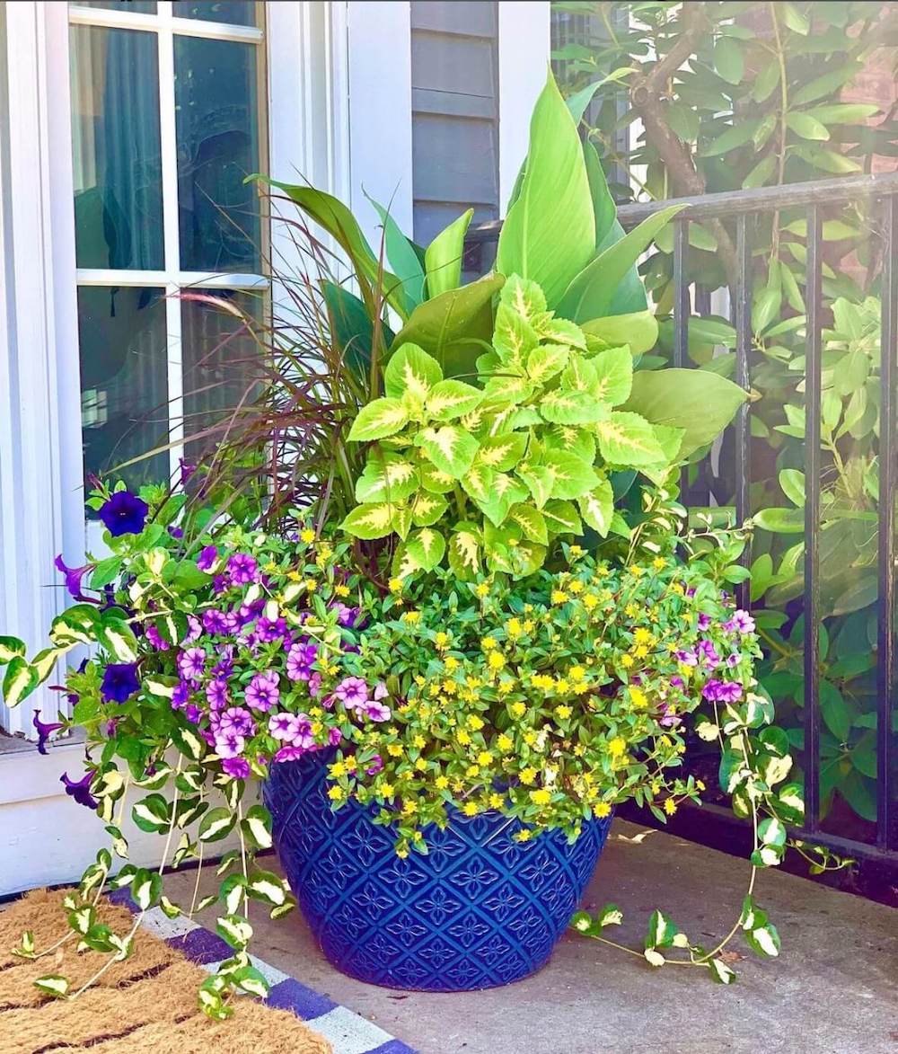 Beautiful seasonal planter arrangement